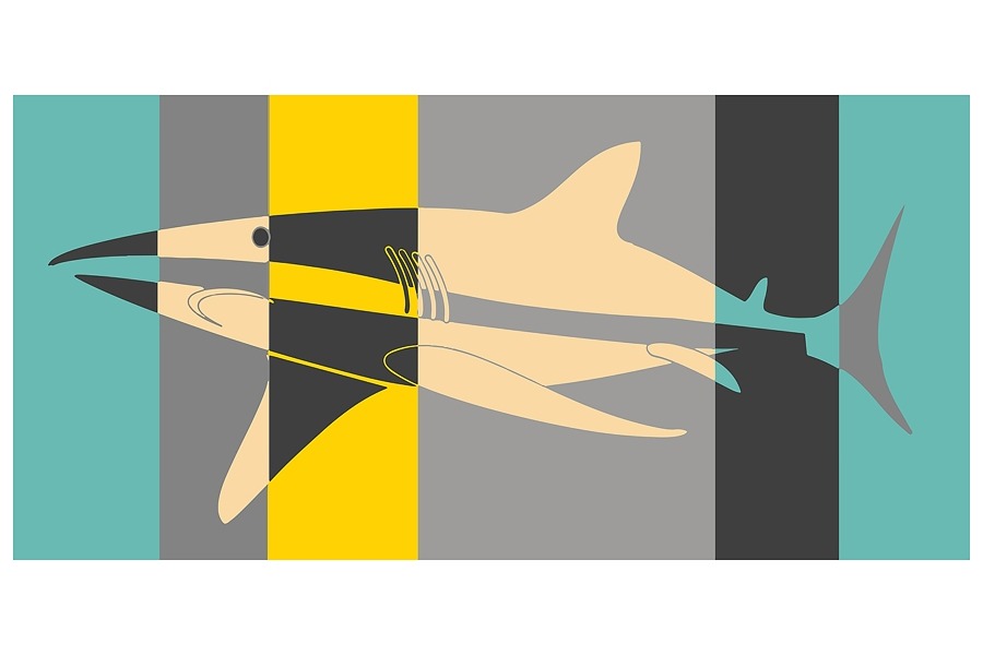 Картина акула
