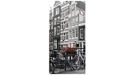 Картина Амстердам 1