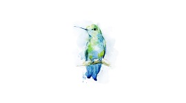 Картина птицы акварель 2