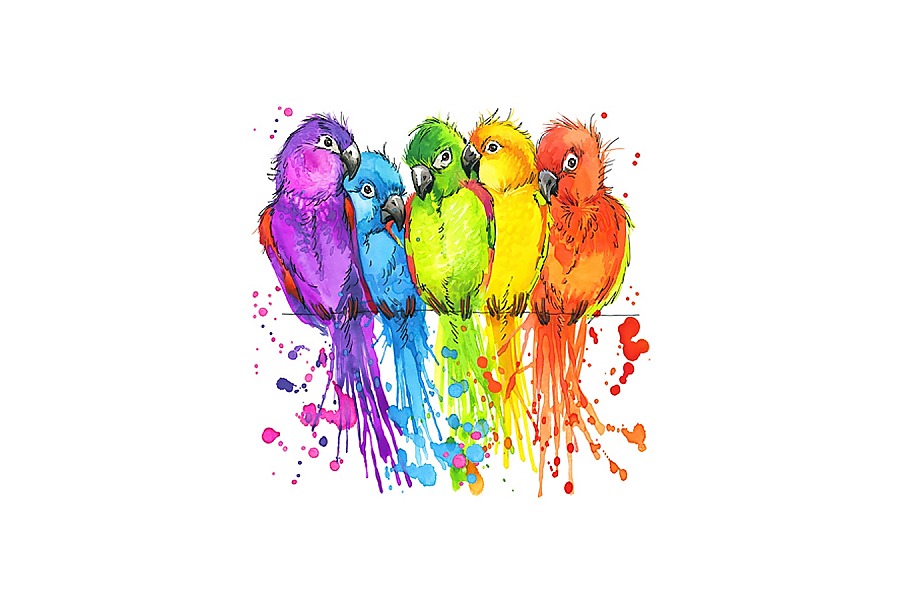Картина попугаи акварель